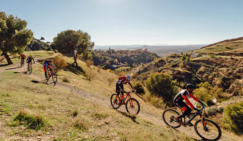 Entrenamiento funcional outdoor